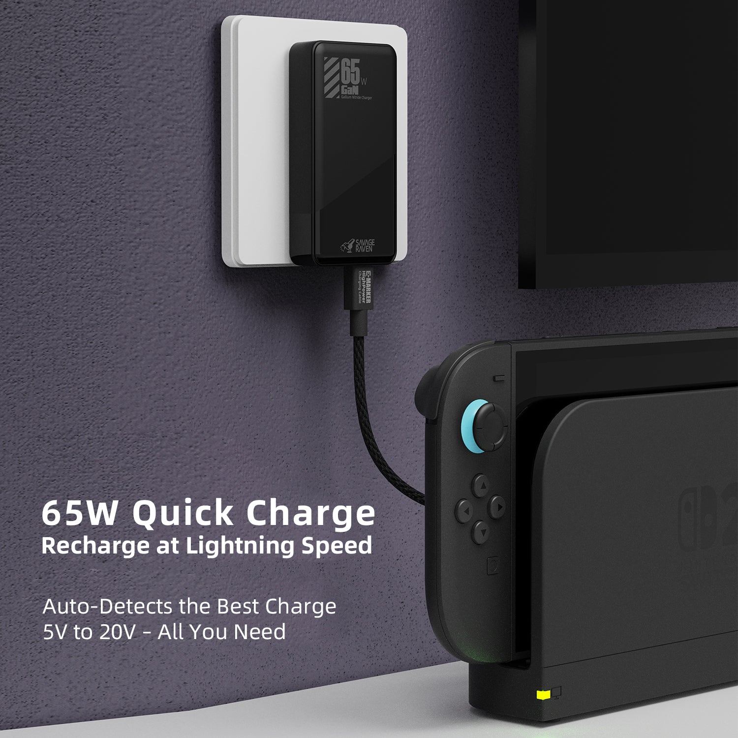 Switch With Switch Charger For Phone Nintendo Switch Fast Charge