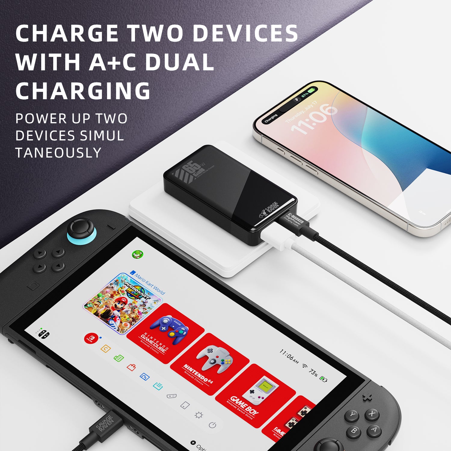 Savage Raven by Skull & Co. 65W GaN Power Adapter for Nintendo SWITCH2